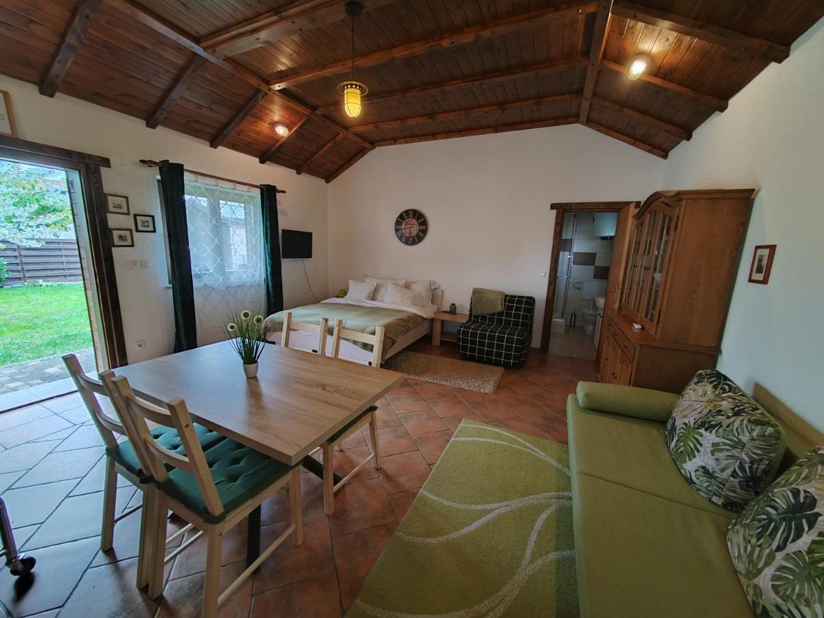 Studio Apartman Buteo Ястребарско Екстериор снимка